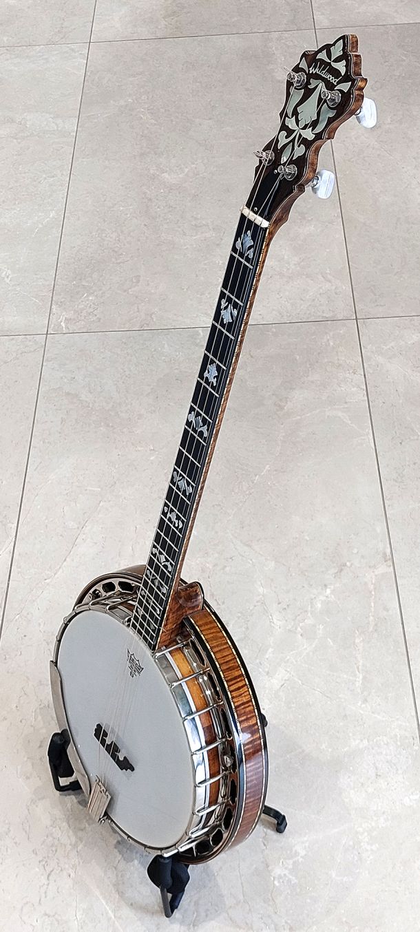 wildwood plectrum banjo