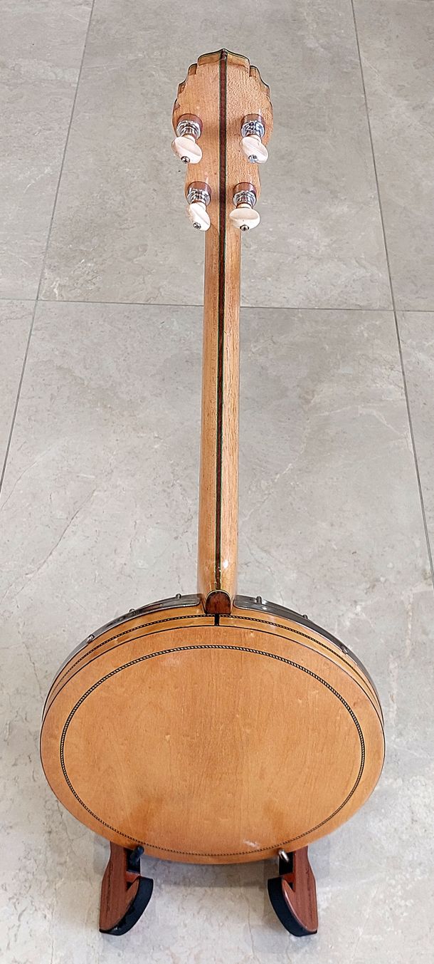 Majestic Princess Tenor Banjo