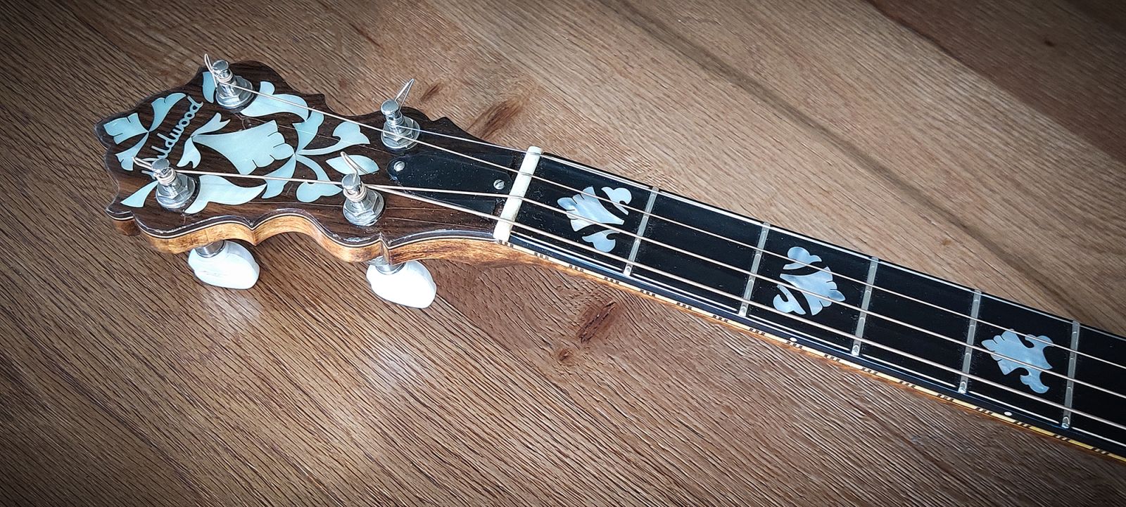 wildwood plectrum banjo