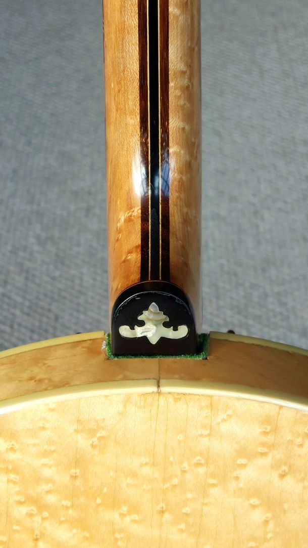 Sully Tenor Banjo