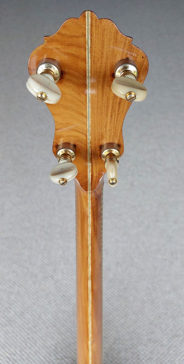 Sully Tenor Banjo