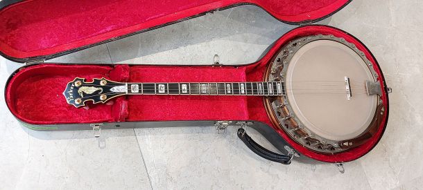 Parker classic tenor banjo