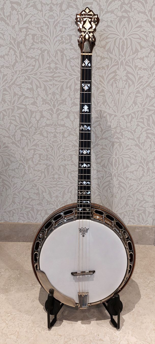 wildwood plectrum banjo