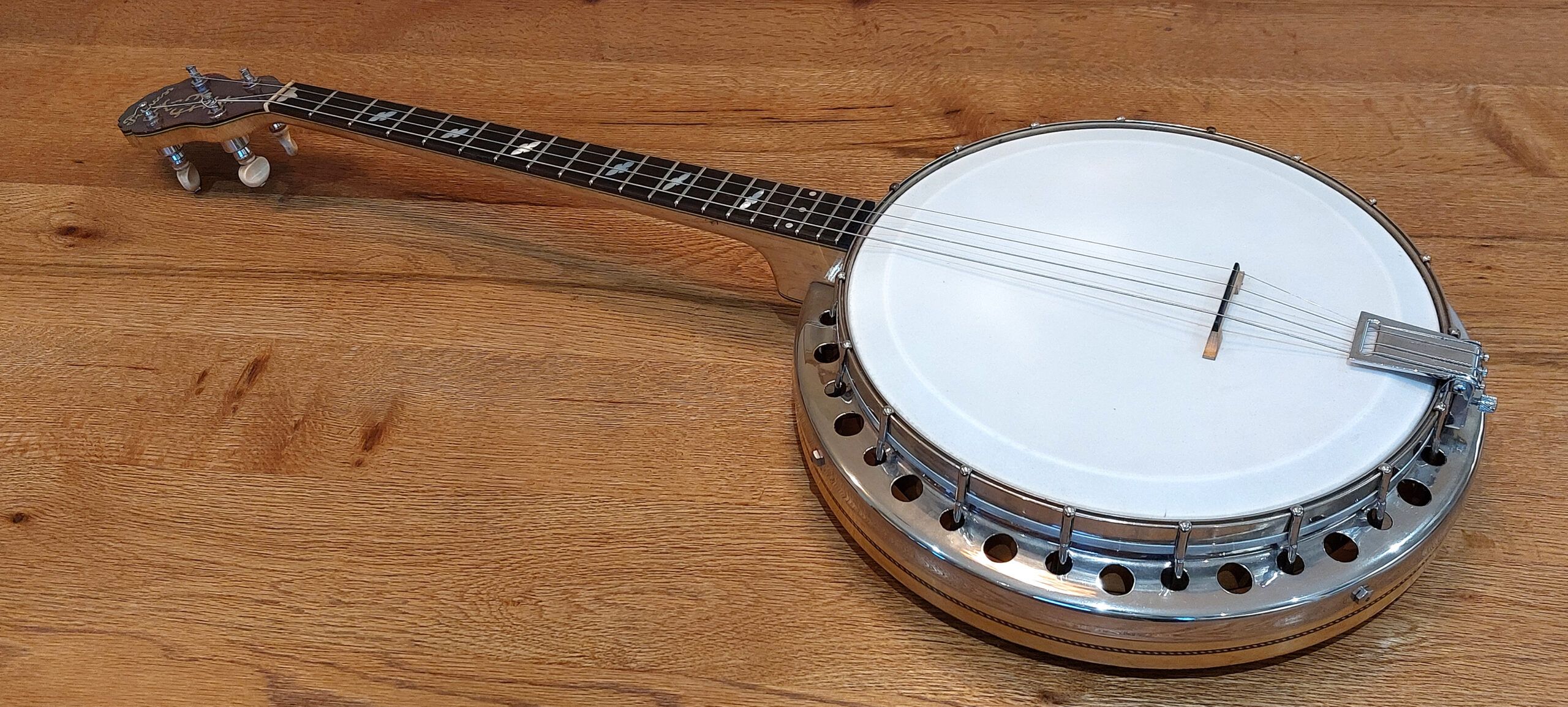 baldwin tenor banjo