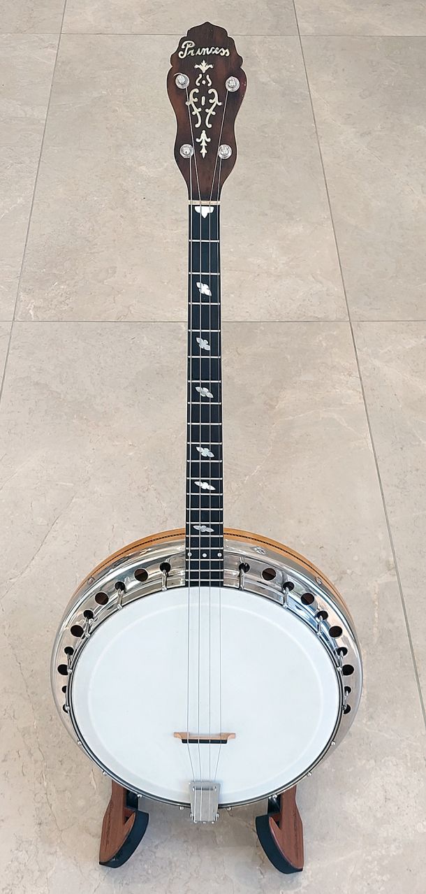 Majestic Princess Tenor Banjo