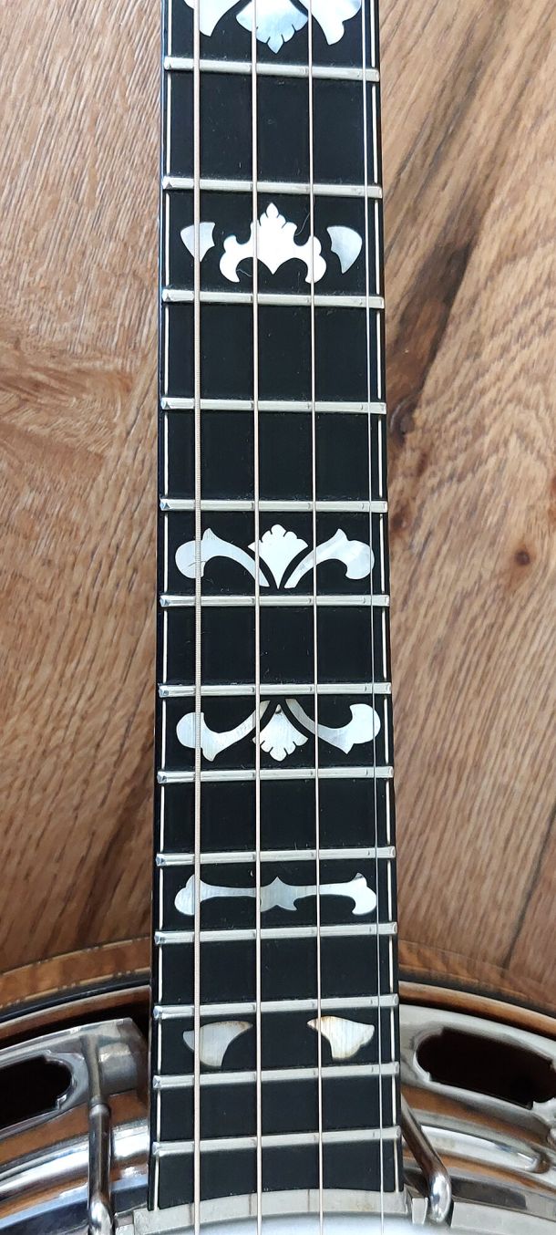 wildwood plectrum banjo