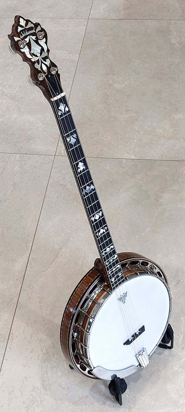 wildwood plectrum banjo