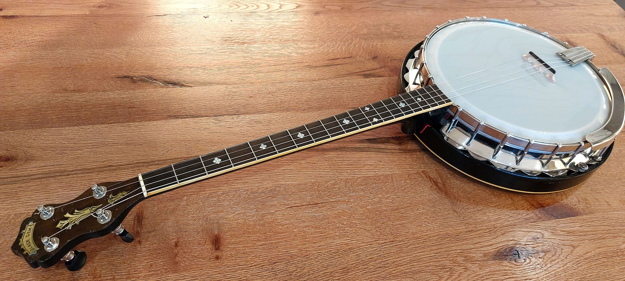 Epiphone Black Gem 19 fret tenor banjo