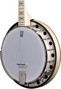 deering-goodtime-2-19-fret-tenor-banjo