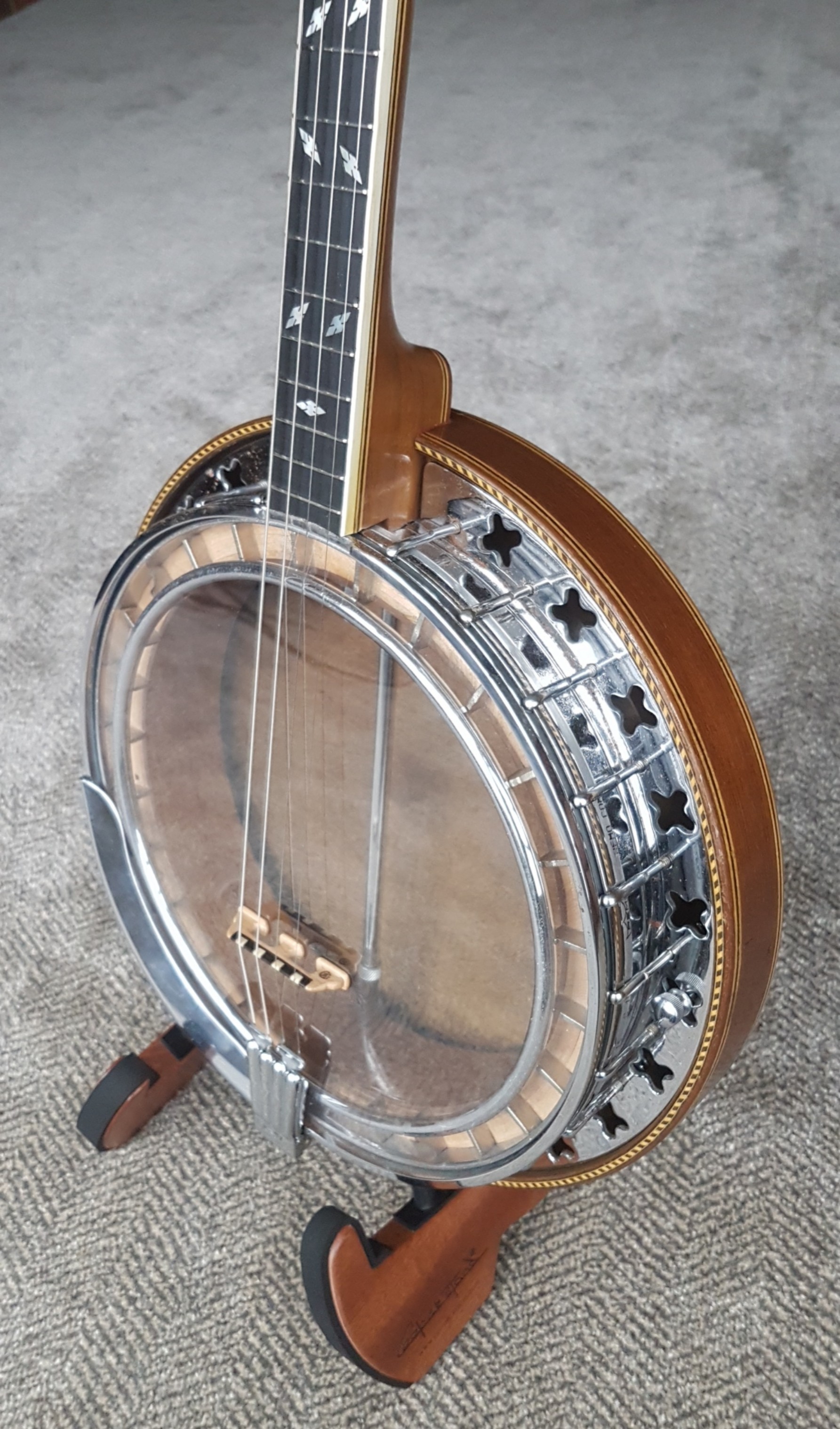 epiphone recording a tenor banjo