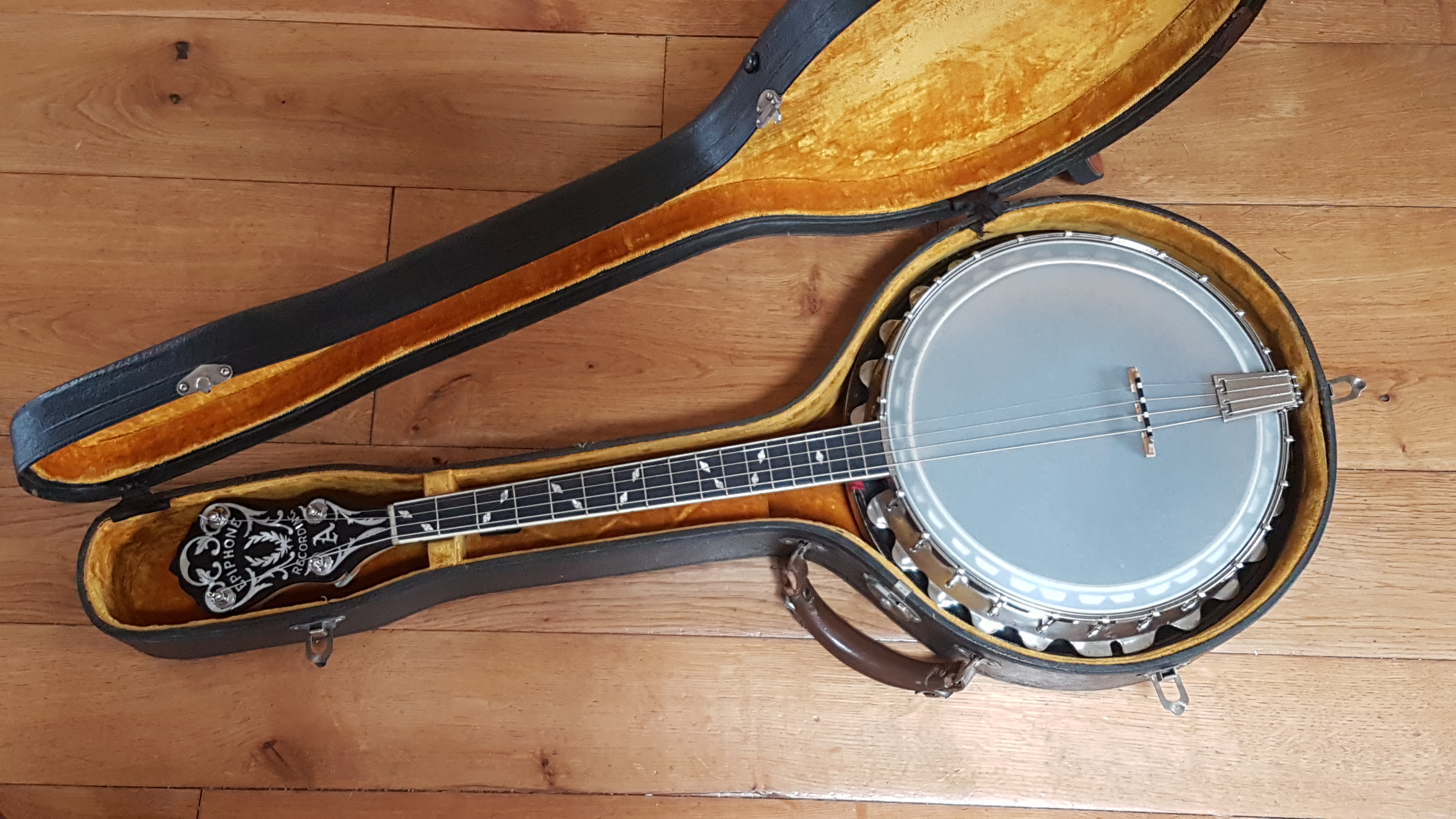 Types of Banjos Different Styles, Pros and Cons, and How to Choose