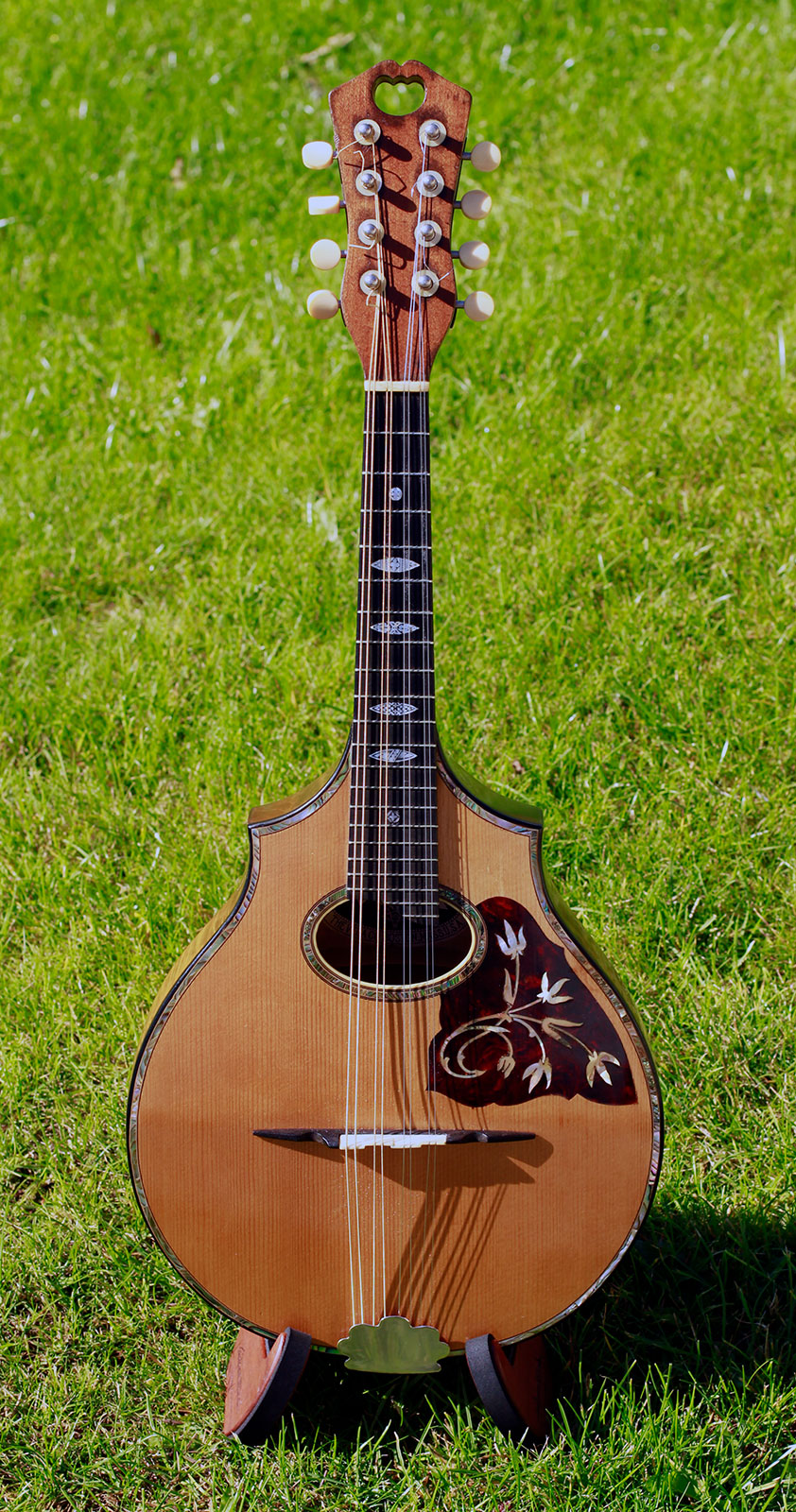 vega mandolin for sale