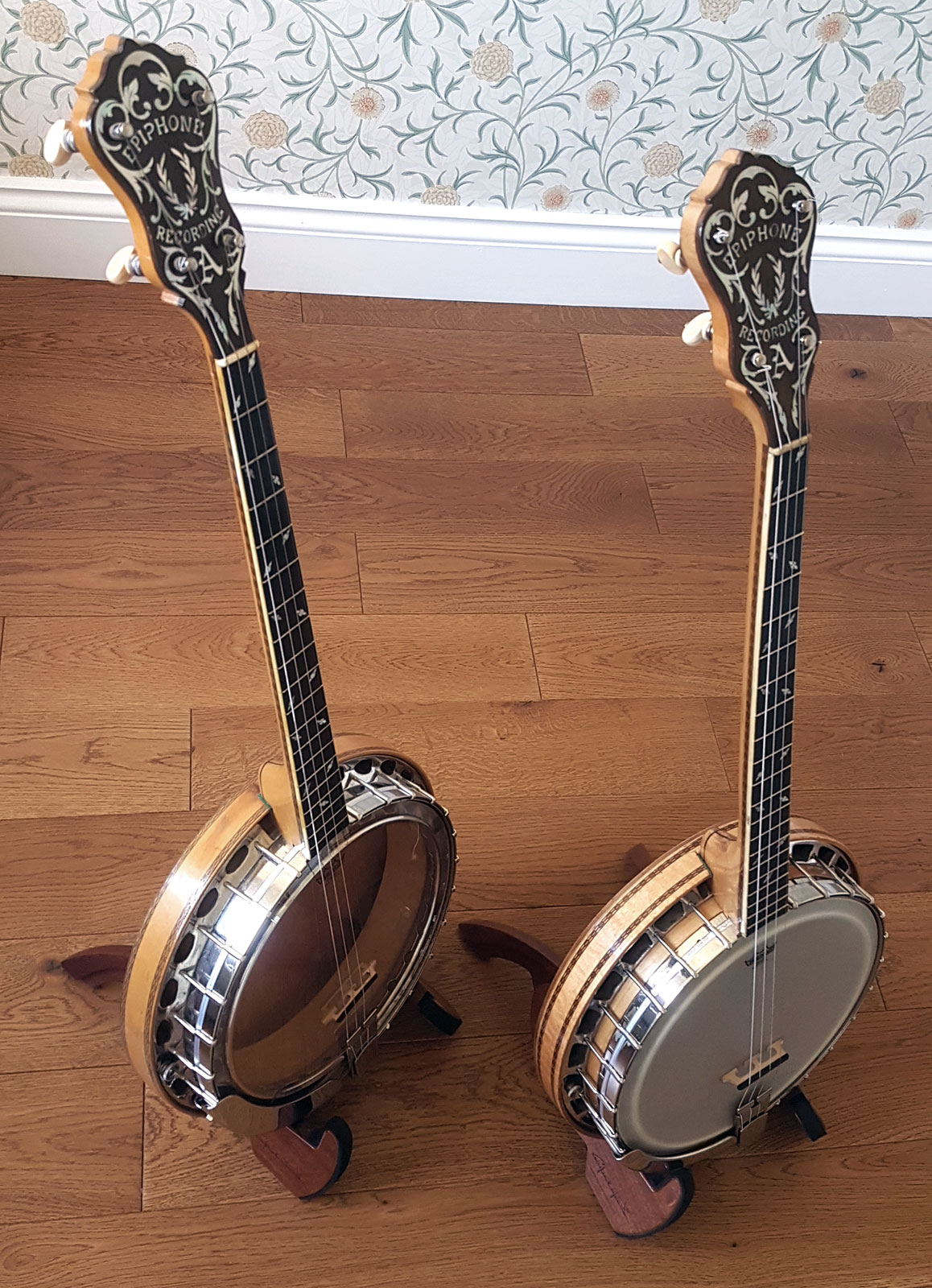 epiphone banjo identification