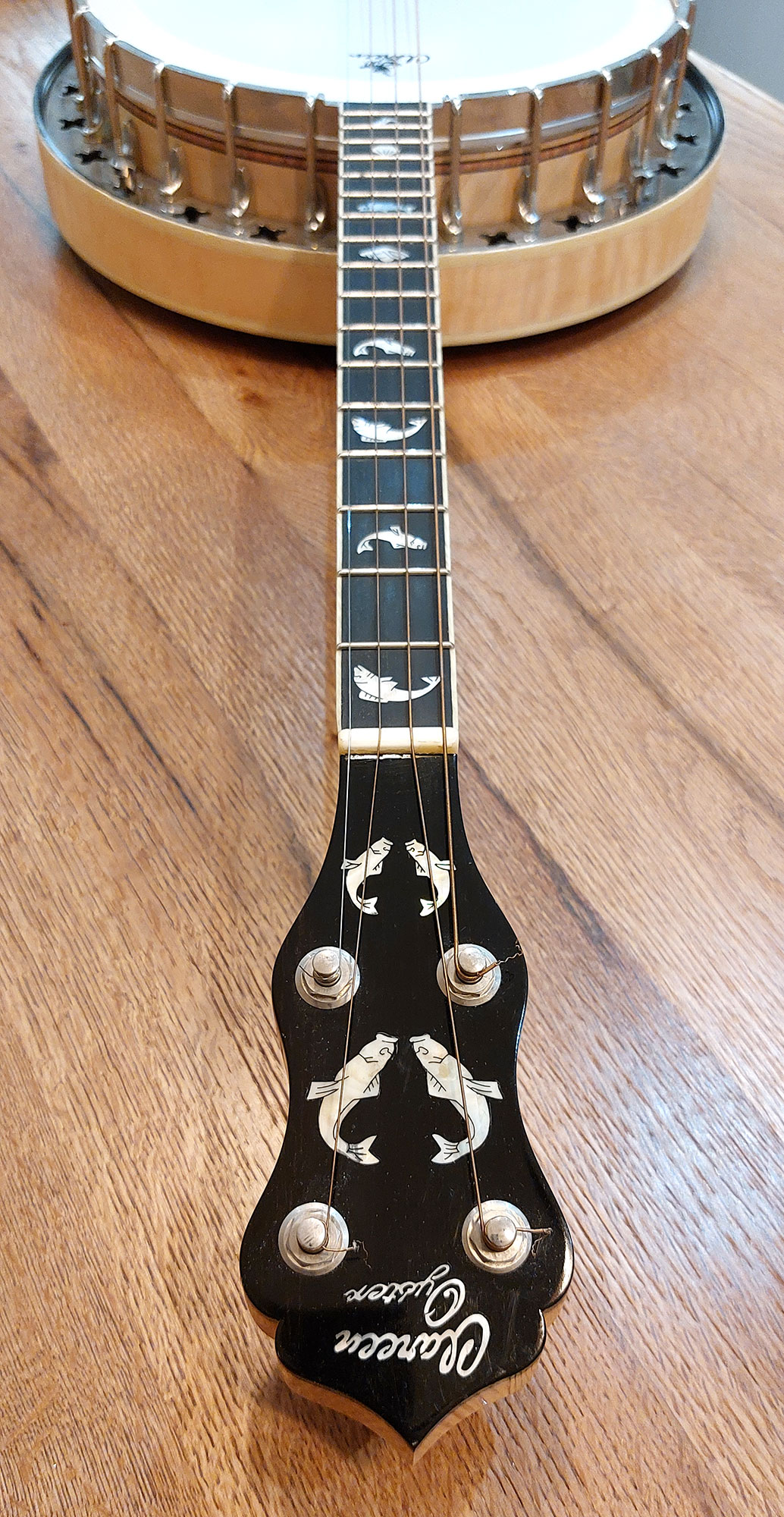 clareen Oyster tenor banjo neck inlay