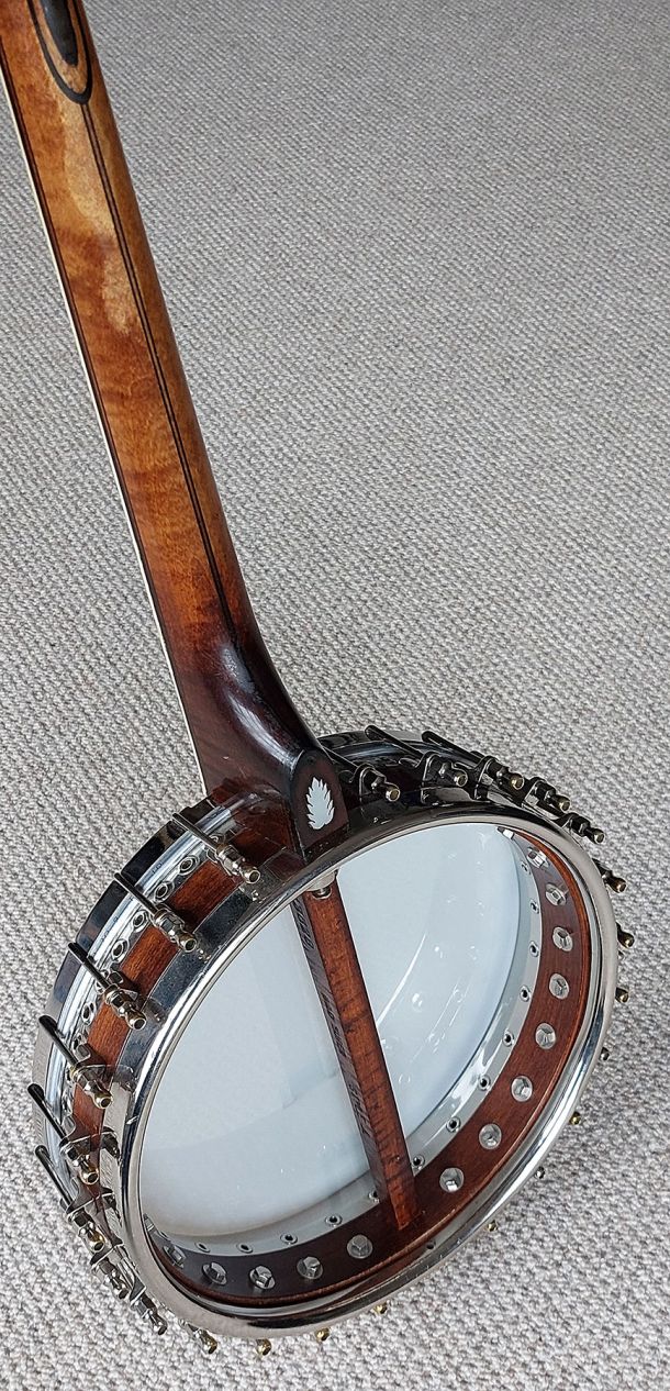 Sully Tenor Banjo