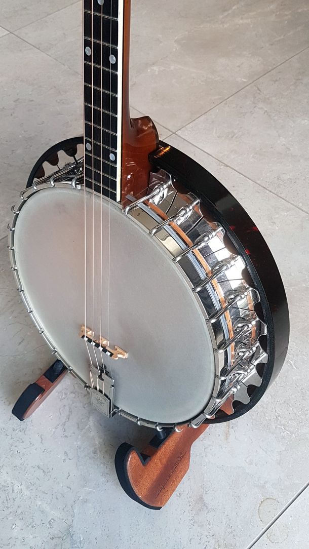 vega-vegaphone professional